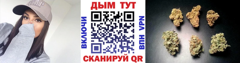 Купить закладку Галлюциногенные грибы Бошки Шишки МЕФ Codein Гашиш Гатчина