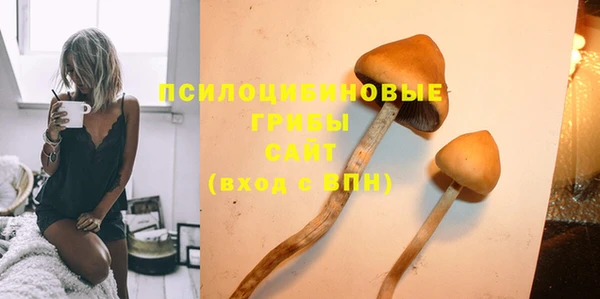 тгк Баксан