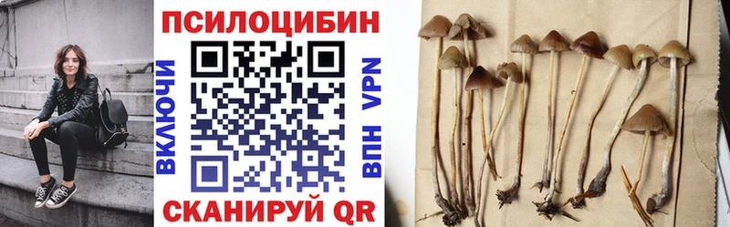Галлюциногенные грибы Cubensis  Купить где  Гатчина 